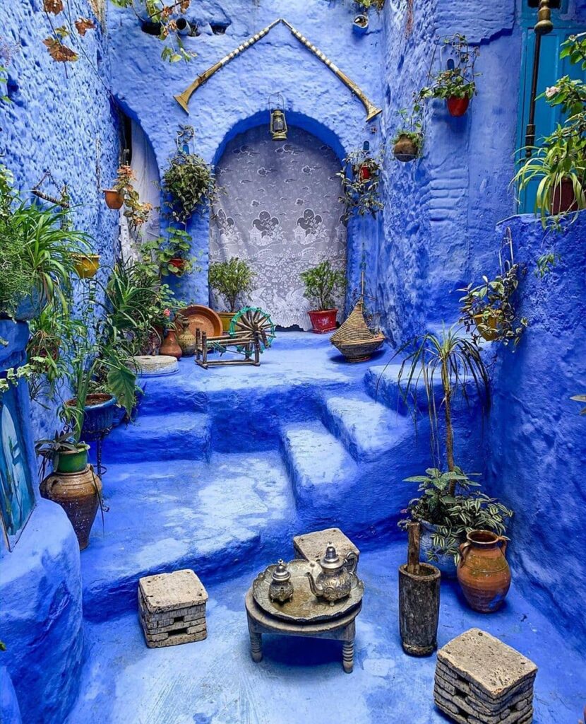 building, plants, pots, decoration, indoors, interior, nature, decorative, city, morocco